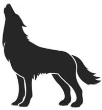 Wolf der Vorfahre des Hundes
